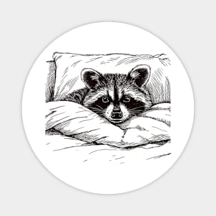 Sleeping Raccoon Magnet